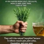 “Rosemary Anti-Inflammatory Herbal Tea”