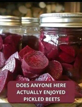 Pickled Beets Recipe